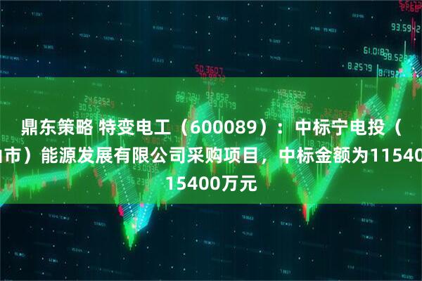 鼎东策略 特变电工（600089）：中标宁电投（石嘴山市）能源发展有限公司采购项目，中标金额为115400万元