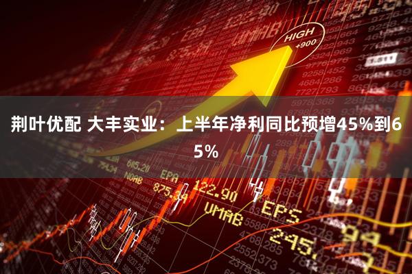 荆叶优配 大丰实业：上半年净利同比预增45%到65%