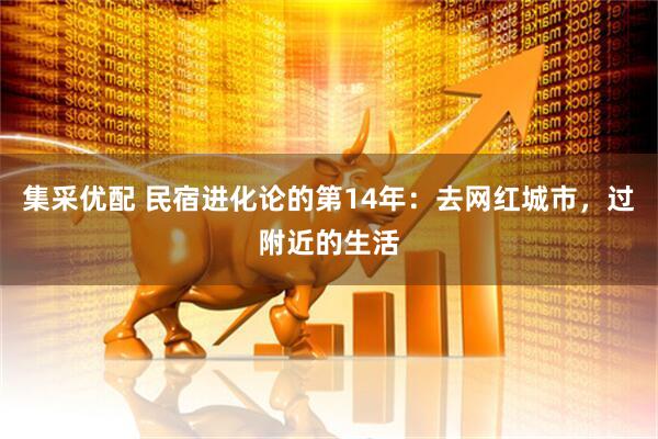 集采优配 民宿进化论的第14年：去网红城市，过附近的生活